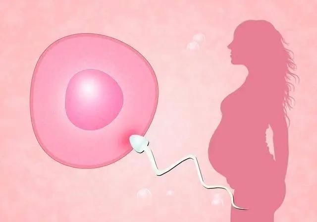 试管婴儿最多可以做几次 试管婴儿最多可以做几次(图1)
