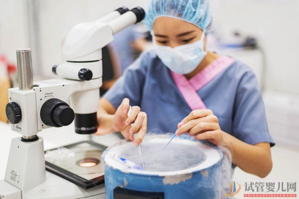 俄罗斯试管婴儿流程(图11)