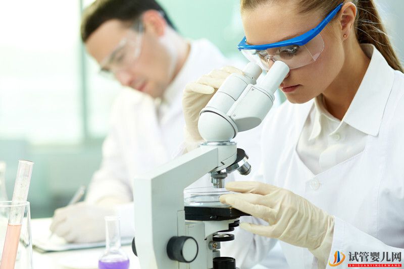 试管婴儿网:试管胚胎移植后应该怎么做(图1) 试管胚胎移植后应该怎么做(图1)