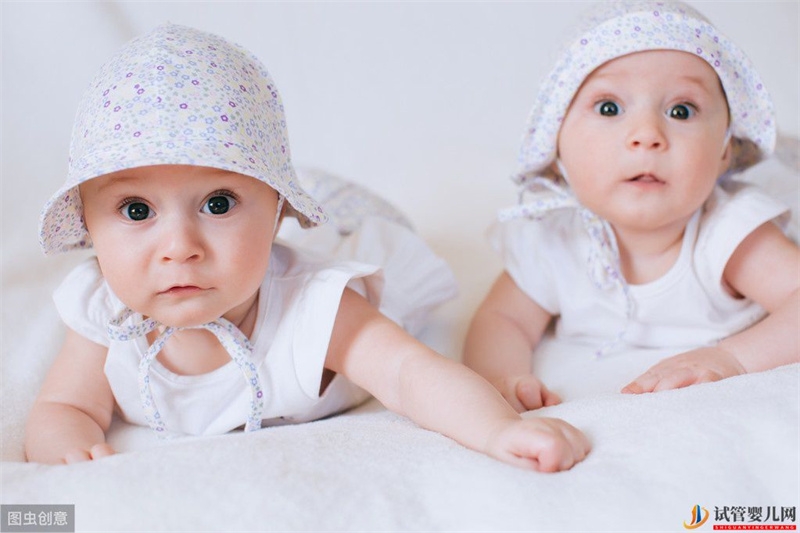 试管婴儿网:想生双胞胎,借助试管技术走捷径,移植两个胚胎就一定能成功吗?(图2) 想生双胞胎,借助试管技术走捷径,移植两个胚胎就一定能成功吗?(图1)