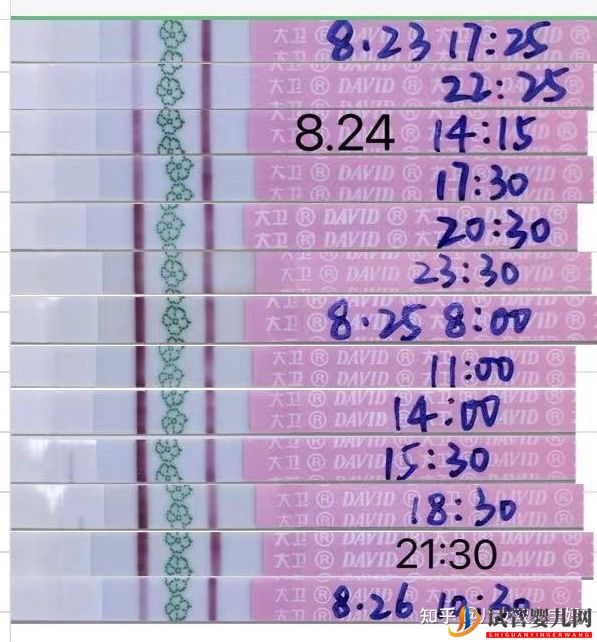 备孕怀男孩_儿子的科学方法如下(图4) 备孕怀男孩_儿子的科学方法如下(图4)