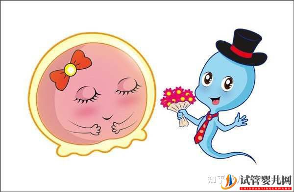 备孕怀男孩_儿子的科学方法如下(图2) 备孕怀男孩_儿子的科学方法如下(图2)