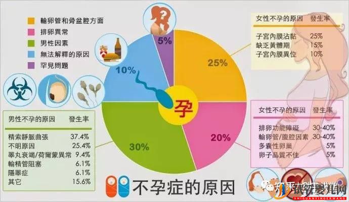 试管婴儿的一个基本流程和周期时间(图5) 试管婴儿的一个基本流程和周期时间(图5)