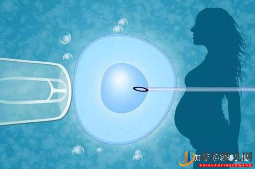 做试管婴儿的全部流程有多少(图2) 做试管婴儿的全部流程有多少(图2)