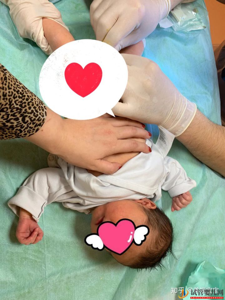 一分钟教你读懂,试管婴儿全流程(图1) 一分钟教你读懂,试管婴儿全流程(图1)