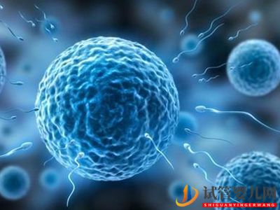 什么样的人需要做试管婴儿_(图1) 什么样的人需要做试管婴儿_(图1)