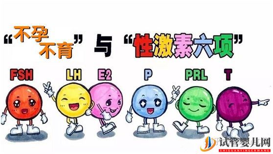 试管婴儿_试管前看看你的雌性激素六项正常吗(图2) 试管婴儿_试管前看看你的雌性激素六项正常吗(图2)