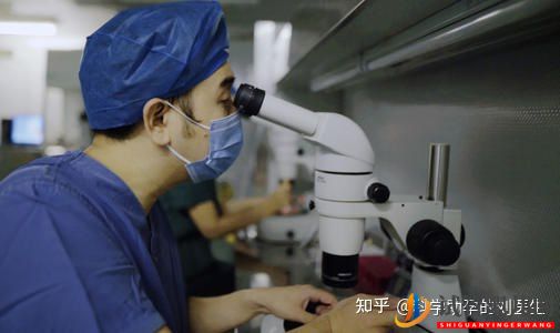 做试管婴儿的全过程,一切顺利的话(图6) 做试管婴儿的全过程,一切顺利的话(图6)