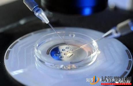 做试管婴儿的全过程,一切顺利的话(图7) 做试管婴儿的全过程,一切顺利的话(图7)