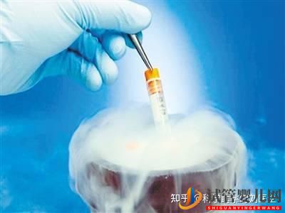 做试管婴儿的全过程,一切顺利的话(图12) 做试管婴儿的全过程,一切顺利的话(图12)