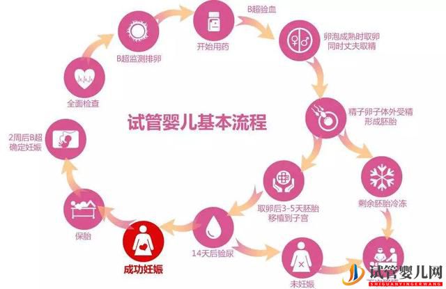 俄罗斯试管婴儿的详细过程是怎样的,6个步骤解释清楚(图1) 俄罗斯试管婴儿的详细过程是怎样的,6个步骤解释清楚(图1)