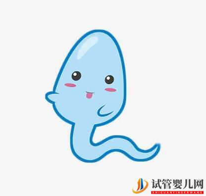 做试管婴儿前男性需要怎样提升精子质量(图1) 做试管婴儿前男性需要怎样提升精子质量(图1)