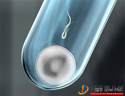试管婴儿的历史及其发展过程(图2) 试管婴儿的历史及其发展过程(图2)