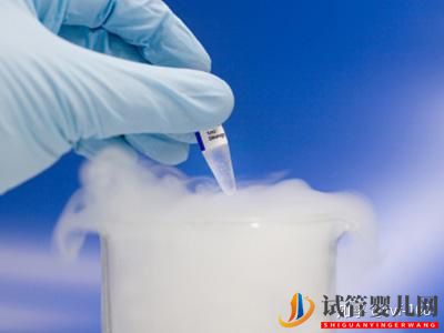 试管婴儿的历史及其发展过程(图3) 试管婴儿的历史及其发展过程(图3)