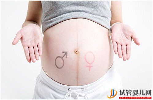 试管婴儿的历史及其发展过程(图14) 试管婴儿的历史及其发展过程(图14)