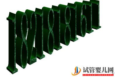 试管婴儿的历史及其发展过程(图23) 试管婴儿的历史及其发展过程(图23)