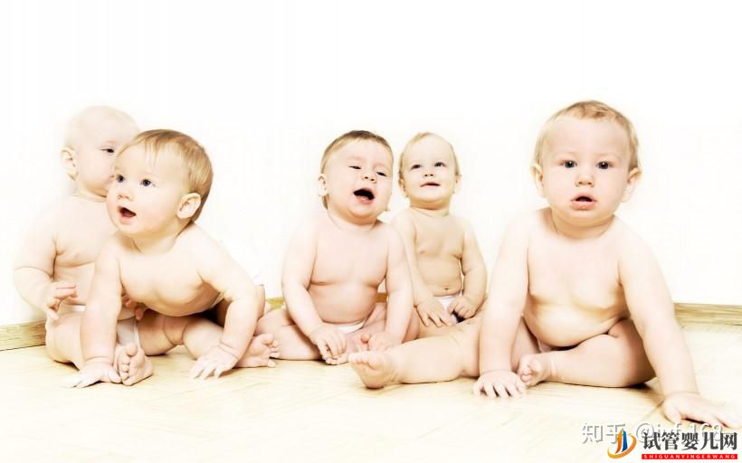 试管婴儿的历史及其发展过程(图21) 试管婴儿的历史及其发展过程(图21)