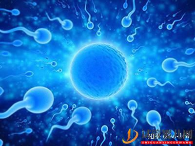 试管婴儿的历史及其发展过程(图19) 试管婴儿的历史及其发展过程(图19)
