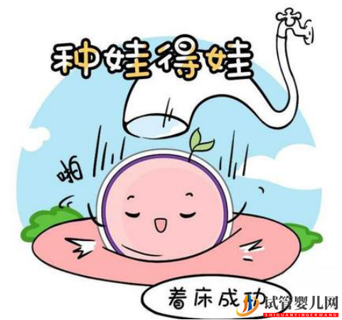 试管婴儿胚胎数量由什么决定?(图1) 试管婴儿胚胎数量由什么决定?(图1)