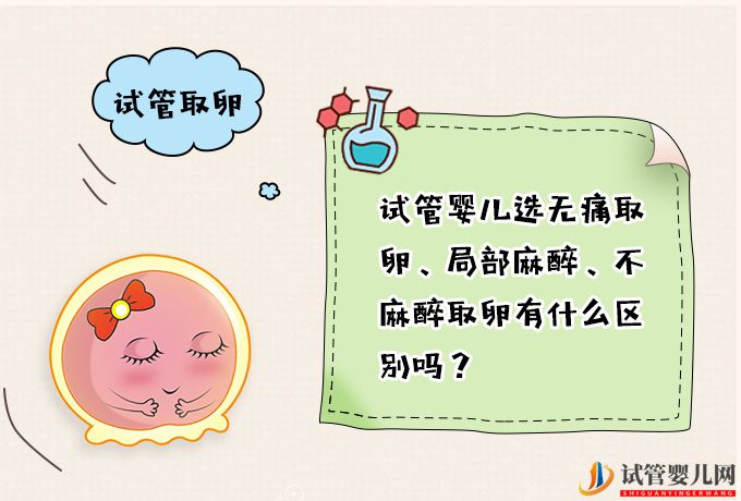 试管婴儿选无痛取卵、局部麻醉、不麻醉取卵有什么区别吗?(图1) 试管婴儿选无痛取卵、局部麻醉、不麻醉取卵有什么区别吗?(图1)