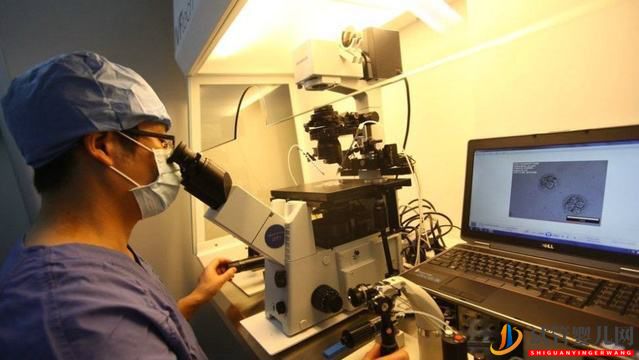 做试管婴儿前检查项目什么作用(图1) 做试管婴儿前检查项目什么作用(图1)