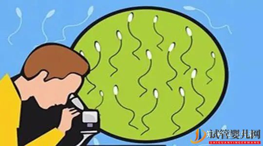 如何取精及注意事项(图1) 如何取精及注意事项(图1)