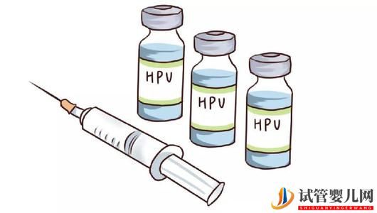 接种HPV疫苗后可以做试管婴儿吗?(图1) 接种HPV疫苗后可以做试管婴儿吗?(图1)