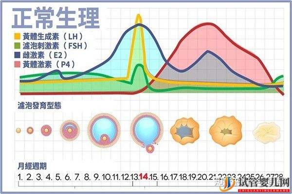 美国试管专家教你自测试管婴儿成功率的方法(图7) 美国试管专家教你自测试管婴儿成功率的方法(图7)