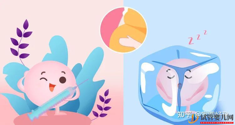 当代人生育成本有多高,做个试管到底需要花多少钱(图4)
