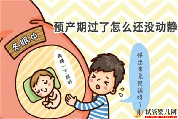 通过试管婴儿移植成功后的孕妈过了预产期还没生怎么办(图1)