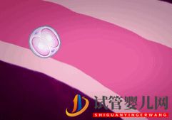 做试管婴儿到底要花多少钱_几万和十几万有什么区别(图8) 做试管婴儿到底要花多少钱_几万和十几万有什么区别(图8)