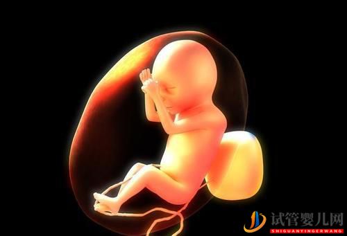 女性雌二醇低可以做试管婴儿吗有什么影响(图1)