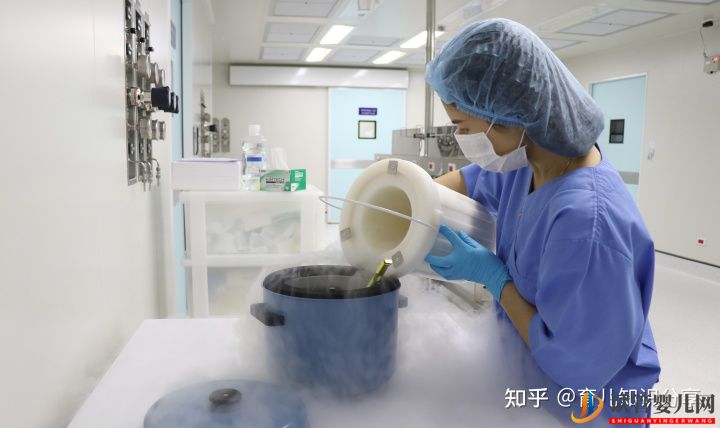试管婴儿全部步骤要花多少钱(图1) 试管婴儿全部步骤要花多少钱(图1)