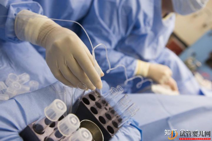 试管婴儿大揭秘,取卵疼不疼(图1) 试管婴儿大揭秘,取卵疼不疼(图1)