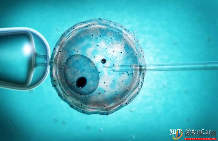 试管婴儿大揭秘,取卵疼不疼(图6) 试管婴儿大揭秘,取卵疼不疼(图6)