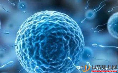 试管婴儿男人是如何取精的_一般大家喜欢用这2种方法(图2) 试管婴儿男人是如何取精的_一般大家喜欢用这2种方法(图2)