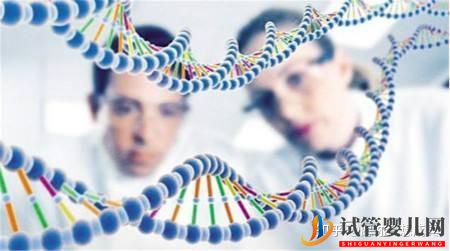 三代试管可以解决那些遗传病(图4) 三代试管可以解决那些遗传病(图4)