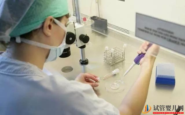 试管婴儿,并不是你想做就能做的,首先你得满足这4个条件(图3) 试管婴儿,并不是你想做就能做的,首先你得满足这4个条件(图2)