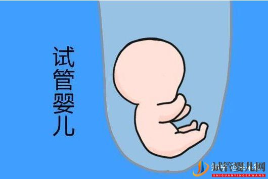 第三代试管婴儿的流程及费用标准怎么样(图2) 第三代试管婴儿的流程及费用标准怎么样(图2)