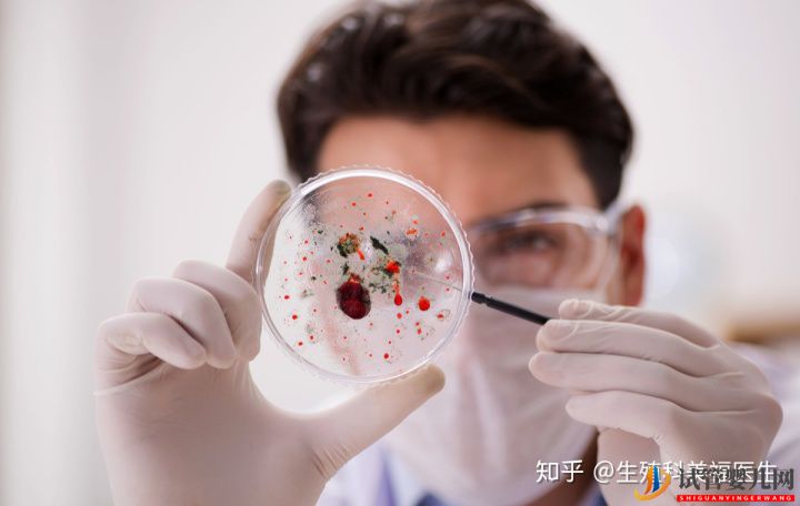 试管婴儿成功率的高低,这4点很关键(图5) 试管婴儿成功率的高低,这4点很关键(图5)