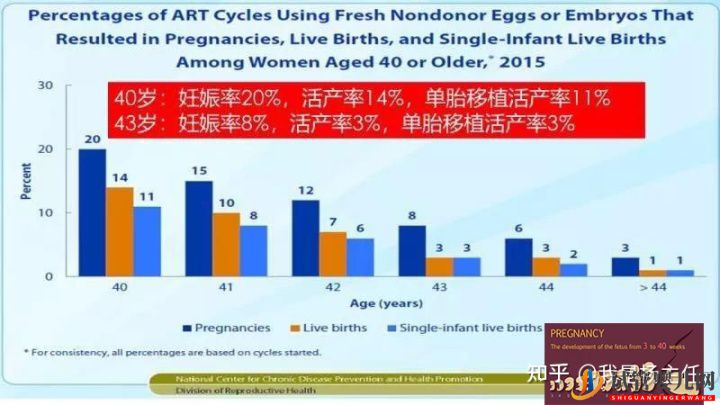 试管婴儿大概要花多少钱_做几次成功是正常的(图3) 试管婴儿大概要花多少钱_做几次成功是正常的(图3)