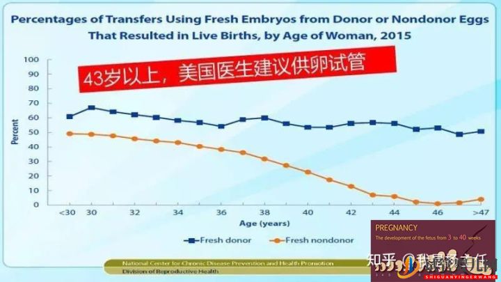 试管婴儿大概要花多少钱_做几次成功是正常的(图6) 试管婴儿大概要花多少钱_做几次成功是正常的(图6)