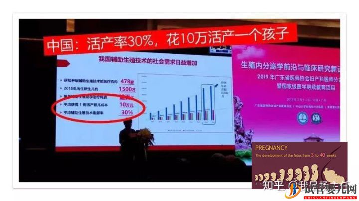 试管婴儿大概要花多少钱_做几次成功是正常的(图11) 试管婴儿大概要花多少钱_做几次成功是正常的(图11)
