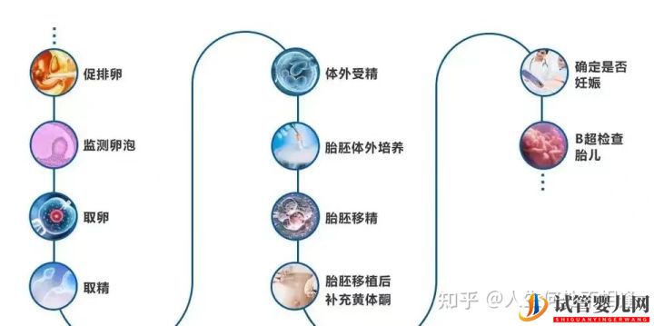 做试管婴儿多久可以怀孕呢_具体流程是怎样的(图1)