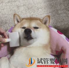 四十岁大龄三代试管婴儿真实经历一个胚胎也能一次...(图6) 四十岁大龄三代试管婴儿真实经历一个胚胎也能一次...(图6)