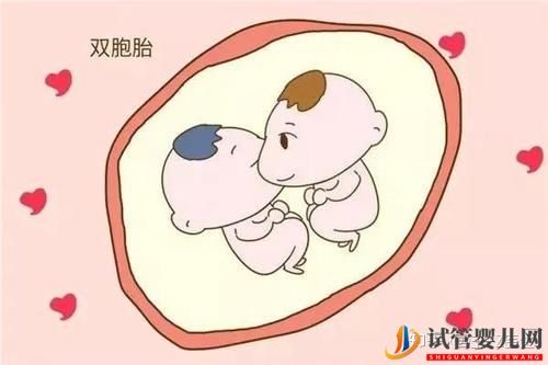 试管婴儿双胞胎成功率有多大有哪些风险(图2)