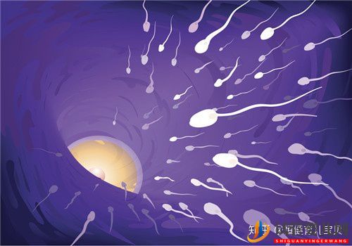 试管婴儿网:深圳试管婴儿费用贵吗是不是越贵成功率越高(图2) 深圳试管婴儿费用贵吗是不是越贵成功率越高(图1)