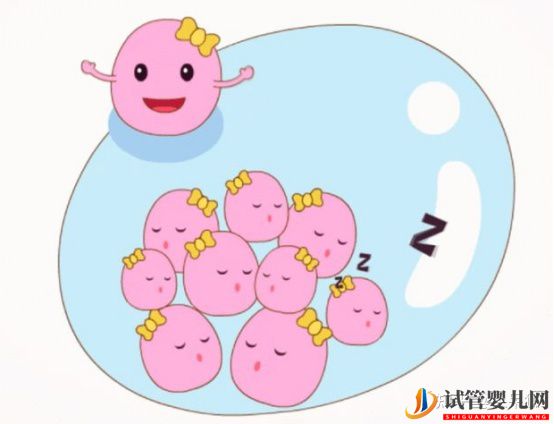 试管婴儿成功率是怎么计算的(图3) 试管婴儿成功率是怎么计算的(图3)