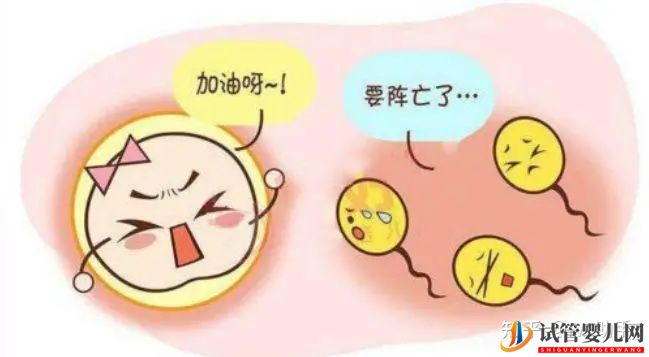 无精子症就没办法要自己的宝宝了吗(图1) 无精子症就没办法要自己的宝宝了吗(图1)