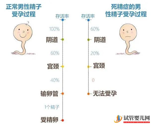 无精子症就没办法要自己的宝宝了吗(图3) 无精子症就没办法要自己的宝宝了吗(图3)